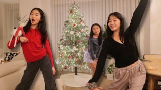 ITS HOLIDAY SEASON VLOG  xmas shopping tree decorating getting ready for winter [upl. by Ellehsram461]