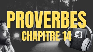 PROVERBE 14  LA BIBLE AUDIO avec textes [upl. by Tootsie776]