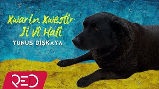 Yunus Dişkaya  Xwarin Xweştir Ji Vî Halî Official Audio [upl. by Ariajaj]