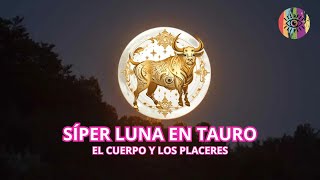 Súper Luna llena en Tauro Noviembre 2024 Reedit [upl. by Zoba443]