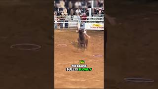 🐮 RODEO Challenge for 100 💸 shorts rodeo funny challenge crazymoments [upl. by Alidus541]