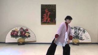 Health Qigong  Ba duan Jin  Eight Pieces of Brocade [upl. by Leahplar]