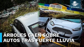 ¡De terror Furia de Tláloc derriba árboles en FES Aragón dañando varios automóviles [upl. by Netti220]