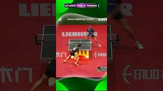 Ma Long uses an incredible Topspin Forehand 탁구 乒乓球 tabletennis 卓球 pingpong sports shorts [upl. by Eicnahc483]