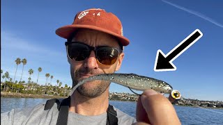 Easy Fishing Mission Bay non stop action [upl. by Alexandr]