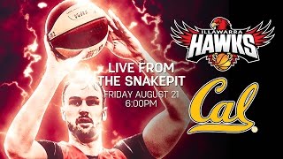 Hawks TV Illawarra Hawks vs California Golden Bears [upl. by Fridlund]