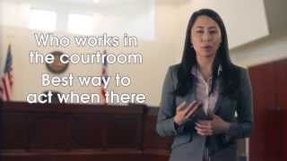 The courtroom amp how it works [upl. by Jethro]