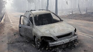 Incêndio de Pedrógão Grande volta ao Parlamento esta quintafeira [upl. by Aibonez65]