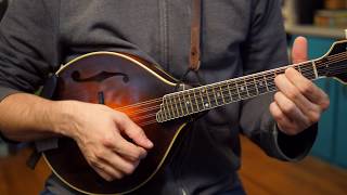 Beginner Mandolin Lessons Series Part Two First Chords [upl. by Anen807]