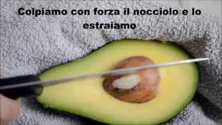 Come tagliare un avocado [upl. by Felton]