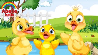 Five Little Ducks  Kids Songs  Abelle belle Songs [upl. by Sul970]