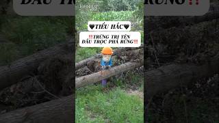 ‼️Trừng Trị Tên Đầu Trọc Phá Rừng‼️ trendingshorts shortvideo [upl. by Aylmar712]