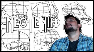 Biólogo te habla sobre la neotenia Parte 1 [upl. by Kaliope]