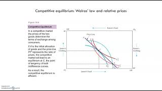 Chapter 54  Walras Law and Relative Prices [upl. by Adnerb861]