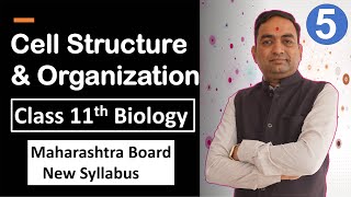 Cell Structure and Organization Class 11th Biology Part 5 [upl. by Swords]