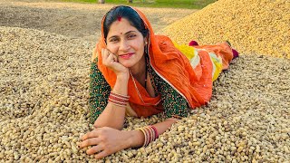 aaj khet me aa gaye 🥜 mungfali dekho😍 [upl. by Mahla609]