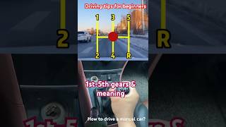 how to drive a manual car  how to drive a car car cars cardriving driving drivingfails shorts [upl. by Hareemas]