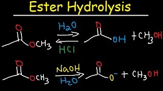 Ester Hydrolysis Reaction Mechanism  Acid Catalyzed amp Base Promoted Organic Chemistry [upl. by Philemon]