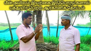 மழையால் பாதிக்கப்பட்டு மீன் அமிலம்இயற்கை இடு பொருட்களால் கம்பீரமாய் நிற்கும் இயற்கைவிவசாயி தோட்டம் [upl. by Neelav]