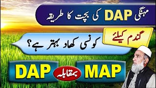 Use of MAP in wheat  DAP vs MAP  Crop Reformer [upl. by Sidwel]