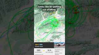 Check this find out on Flightradar24 aircraft planes helicopter flightradar24 fr24 [upl. by Aihsel180]