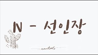 韓中歌詞 VIXX N  선인장Cactus 🌵 [upl. by Ennirok]