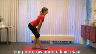 Hamstring stretch [upl. by Mera]