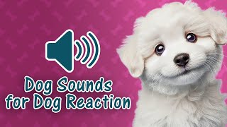 Mix of Dog Sounds  Barking Crying Howling Growling Whining [upl. by Nyrok]