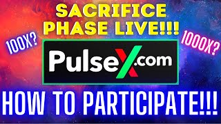 PULSEX SACRIFICE PHASE IS LIVE HOW TO PARTICIPATE NEXT 100X [upl. by Green637]