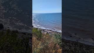 Daily Dose of Vitamin Sea 🌊 Ceilidh trail coast Cape Breton  CapeBreton CBTourism Route19 [upl. by Eintruok]