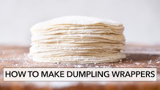 How to Make Dumpling Wrappers Dumpling Skins餃子皮  Lisa Lin [upl. by Ennayt]