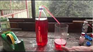 DIY How to Make an Edible Water quotBottlequot or Bubble [upl. by Nanam]