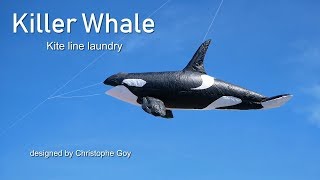 Killer Whale kite quotline laundryquot [upl. by Melena828]