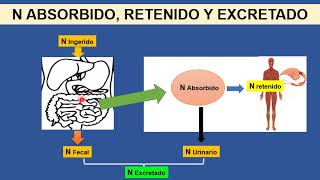 BROMATOLOGIA Calidad de Proteínas Alimentarias [upl. by Eden]