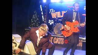 The Rhythm Aces  The Wildest Cats in Town Xmas Party 24112024 [upl. by Nora]