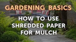 How to Use Shredded Paper for Mulch [upl. by Hoashis]