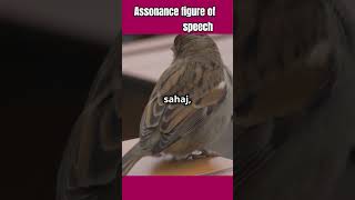 Assonance figure of speech facts vocabulory [upl. by Reinhart655]