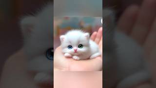 Cute cats pic 😻😻cute dpcat baby [upl. by Hilar]