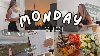 5AM MONDAY VLOG wellness goals healthy meals grocery haul [upl. by Tiga]