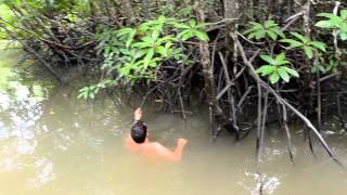 Thailand Snake Herping by Boat for Mangrove Pit Viper 🇹🇭Thailand Living [upl. by Meeka874]