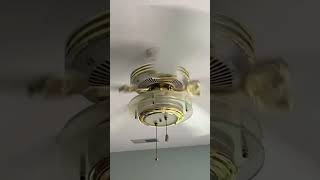 Craftmade Saturn Copy Ceiling Fan [upl. by Brosine477]