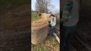 Constantly using and improving things on the ranch fyp welding trailer diy reel feeding hay [upl. by Hajidahk]