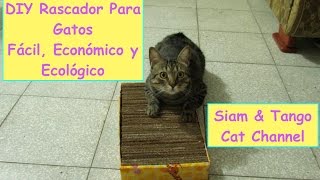 Como Hacer Un Rascador Casero Para Gatos Fácil Económico y Ecológico DIY [upl. by Maryn]