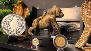 iS IT WORTH GRADING COINS WITH NGC golddiggerdave [upl. by Nnylkoorb]