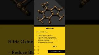 Nitric Oxide Simply Explained [upl. by Naxor92]