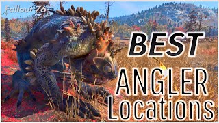 BEST Angler Locations [upl. by Tiphani]