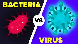 Virus vs Bacteria Whats Actually the Difference [upl. by Benedetta]