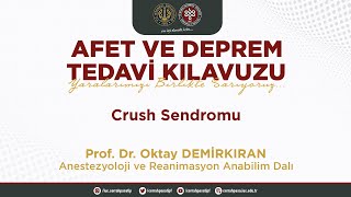 CRUSH Sendromu  ProfDr Oktay DEMİRKIRAN [upl. by Aimaj]