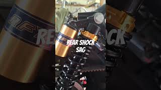 Is Cafe Racer Sportster Rear Shock Sag Ruining Your Ride [upl. by Nahum]