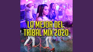 Lo Mejor Del Tribal Mix 2020 [upl. by Topper56]